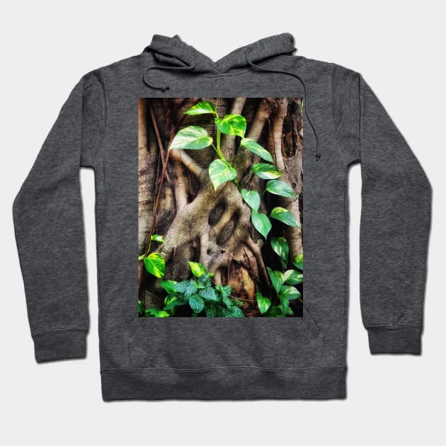 Ivy tree Brasil Hoodie by pvjaffe